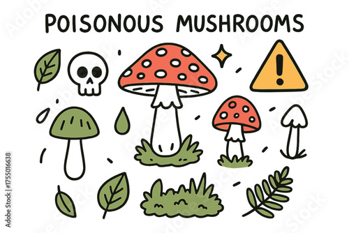 Colorful Mushroom Doodle. Poisonous Mushrooms. Hand-drawn doodle illustration amanita (colored), skull symbol, fly agaric (colored), death cap, leaf, warning