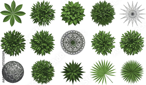 Fifteen top-down views of diverse green plants, shrubs, and decorative elements including wireframe and metallic styles, ideal for architectural, game, and design projects