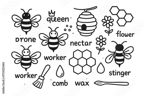 Bee Doodle Icons. Bees. Hand-drawn doodle illustration Bees honeybee hive queen worker drone pollen nectar flower comb wax stinger wings antennae hexagon bee
