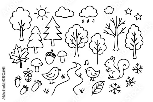Seasonal Forest Doodles. Trees and forest ecosystems with seasonal changes. Hand-drawn doodle illustration forest ecosystem tree, leaf, acorn, mushroom, bird,