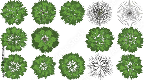 Fifteen top-down views of green tree canopies with three wireframe and line-art variations, perfect for architectural, game, and nature-themed digital design projects