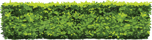 Long cartoon-style green hedge with lush foliage and natural texture, ideal for garden borders, landscaping designs, nature backgrounds, and digital art projects