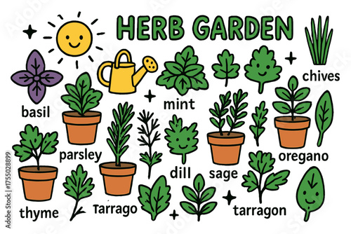 Herb Garden Doodles. Herb Garden. Colorful Hand-drawn doodle Children illustration basil, mint, rosemary, thyme, parsley, oregano, cilantro, chives, dill,