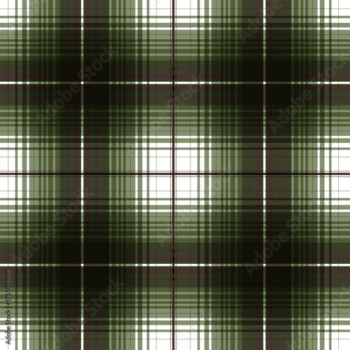 Fotografie Seamless plaid vector pattern
