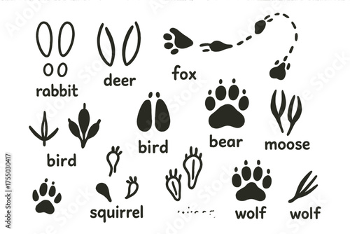 Animal Tracks Doodle. Animal Tracks. Hand-drawn doodle illustration Animal Tracks paw print footprint snow trail forest rabbit deer fox bear bird squirrel