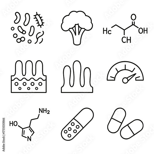 Gut Microbiome Icons. Outline icon set of gut microbiome balance: diverse bacterial colony, fiber-rich vegetable, short-chain