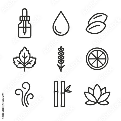 Essential Oil Icons. Outline icon set of essential oil packaging: dropper bottle, oil droplet, jojoba seed, peppermint leaf,