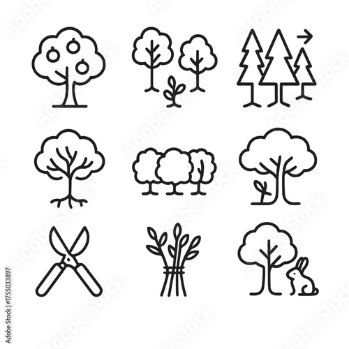 Agroforestry Icons Grid. Outline icon set of Agroforestry systems: fruit tree, alley cropping, windbreak row, nitrogen-fixing tree