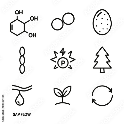 Biological Outputs Icons. Outline icon set of outputs and byproducts: glucose molecule, oxygen molecule, starch granule, cellulose