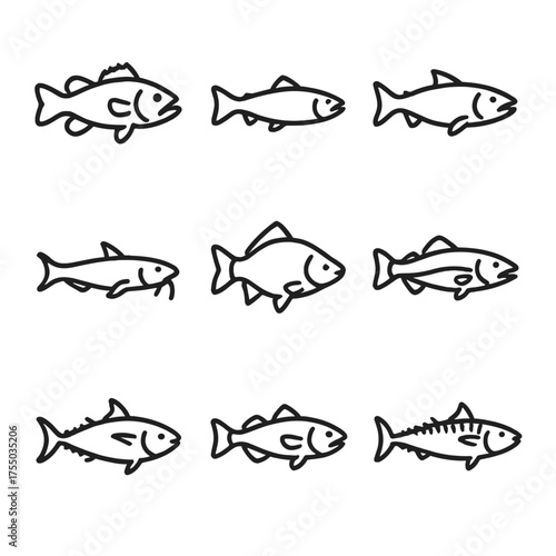 Fish Icon Set. Outline icon set of popular fish species: bass, trout, salmon, catfish, carp, pike, tuna, cod, mackerel. Line icons