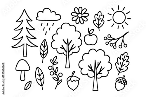Nature Doodle Scene. Trees & Nature. Hand-drawn doodle illustration Trees & Nature pine tree leaf flower apple branch fruit berry acorn mushroom sun cloud