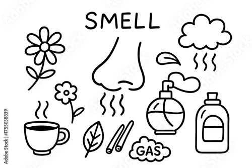Scent Doodles Collection. Smell. Hand-drawn doodle illustration Smell nose flower perfume aroma smoke scent coffee spice gas leaf cloud. Simple cartoon-style