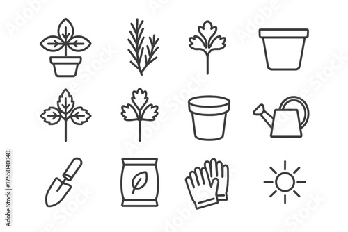 Homegrown Herb Icons. Homegrown herbs. Line icon set of Homegrown herbs: basil plant, rosemary sprig, thyme, mint, parsley, pot, watering can, garden trowel,