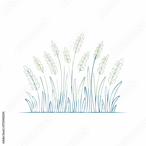 Delicate illustration of wheat stalks and blades of grass, a simple botanical drawing.