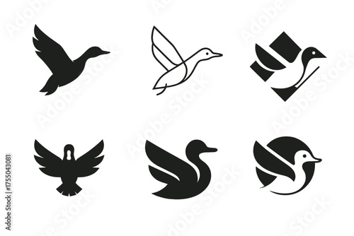 Harmonious Duck Logos. duck pond. Set Logo of duck pond: duck in flight (taking off). harmonious logo variations of the same emblematic concept, each with