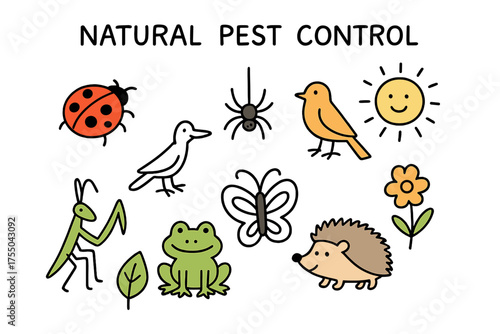 Natural Pest Control Icons. Natural Pest Control. Hand-drawn doodle illustration ladybug (colored), spider, bird (colored), praying mantis, frog (colored),