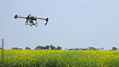 Agricultural drone flying over yellow flower field. Drone used for precision agriculture flying over a blooming yellow mustard or canola field on a clear day.