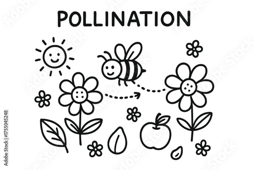 Pollination Doodle Art. Pollination. Hand-drawn doodle illustration Pollination flower blossom pollen bee wing leaf fruit seed garden sun. Simple cartoon-style