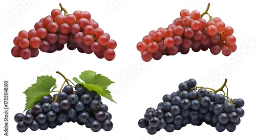 Wallpaper Mural Four Bunches of Red and Purple Grapes Torontodigital.ca