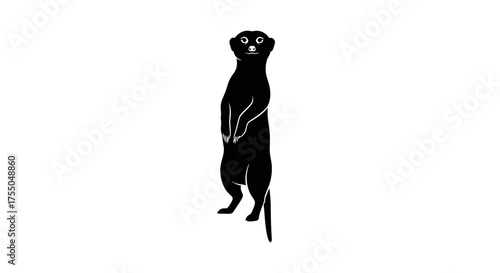 Vector art of meerkat standing looking at the camera attentively