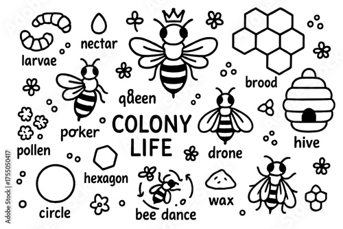 Colony Life Doodles. Colony Life. Hand-drawn doodle illustration Colony Life queen bee worker bee drone larvae brood honeycomb hive pollen nectar wax circle