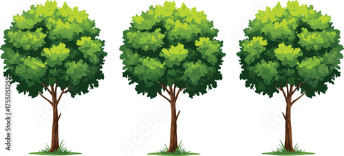Three cartoon-style green trees with full canopies and brown trunks, perfect for nature scenes, game assets, educational materials, landscaping designs, and digital art projects