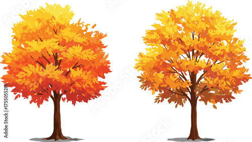 Two beautiful cartoon-style autumn trees with vibrant orange and yellow leaves, perfect for fall scenes, seasonal designs, educational materials, and digital illustration projects