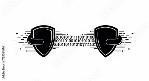 Digital security shields protecting binary code data flow
