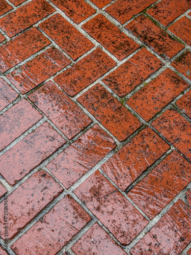 brick pavers background wet from rain