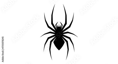 Black spider silhouette, vector illustration