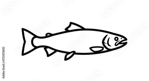 Salmon fish for food and fishing industry