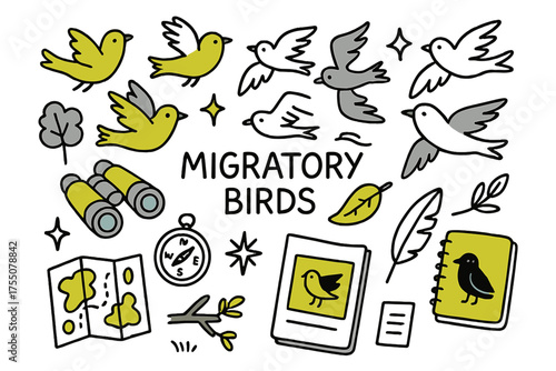 Doodled Migratory Birds. Migratory Birds. Hand-drawn doodle illustration flying birds (colored), binoculars (colored), map (colored), compass, sparkle, star,