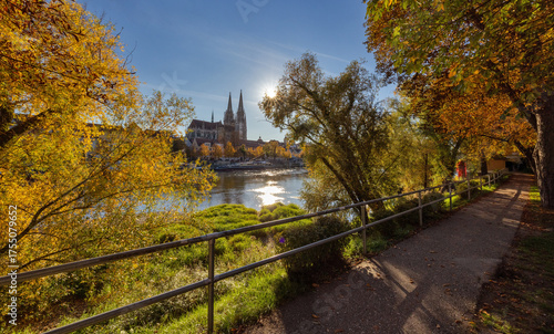 herbstliches Donauufer 