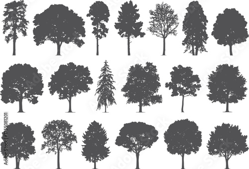 Collection of diverse deciduous and coniferous tree silhouettes in rows