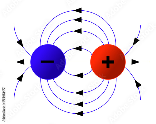 Diagram illustrating electric field lines between negative blue charge and positive red charge, forming a dipole. Physics concept of force and field around two opposite charges on white background