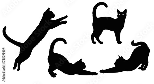 Illustration of black cat silhouettes, a symbol of mystery and elegance
