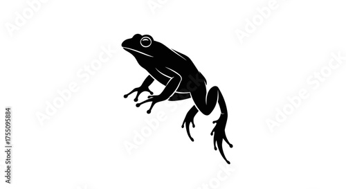 Silhouette of a frog, a simple yet striking image of amphibian wildlife