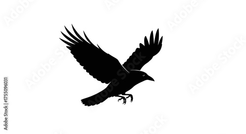 Silhouette of a raven in flight, , wings spread and talons extended, bird