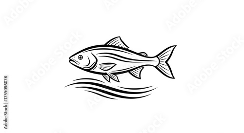 Illustration of a fish, a common aquatic animal with fins and scales
