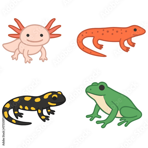 Charming amphibian and reptile illustrations for education and design