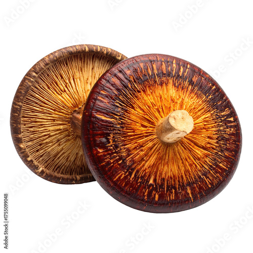 Two shiitake mushrooms, one flipped over, revealing gills and stem against black