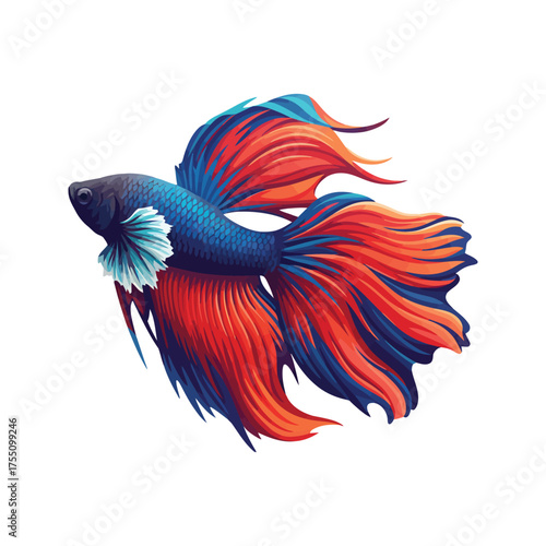 Wallpaper Mural This beautiful vector illustration of a peacock feather is a colorful floral and animal design element perfect for art or tattoo decoration Torontodigital.ca
