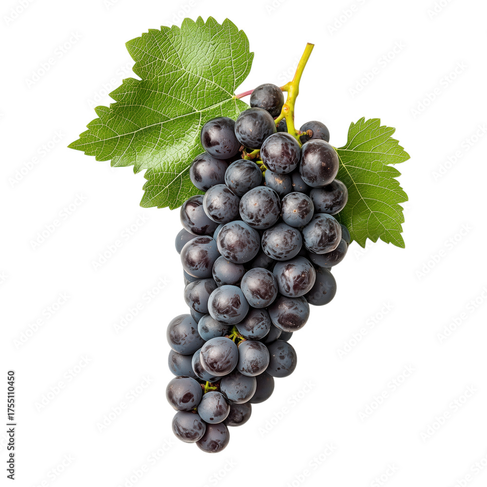 Fototapeta premium Fresh black grape bunch with green leaf, isolated on transparent background