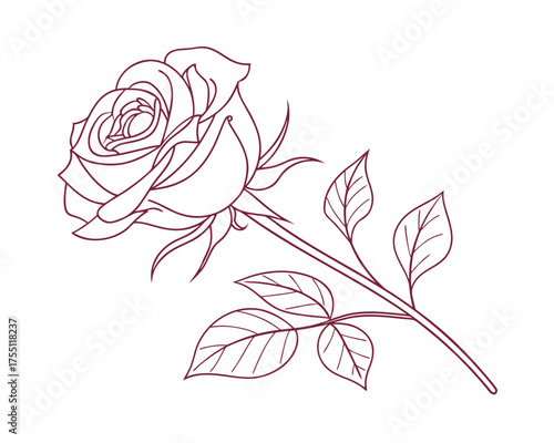 Elegant Rose Outline Illustration Single Red Rose with Stem and Leaves on White Background for Valentines Day Design