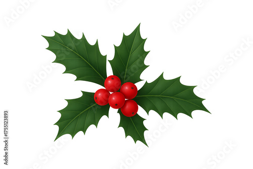 A sprig, green holly and red berries for Christmas decoration isolated against a transparent background.