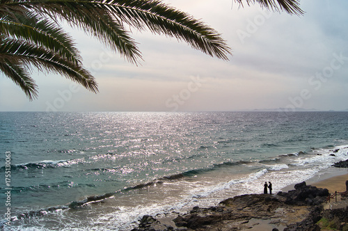 Schilderij op canvas Palm Branch over Playa Blanca Beach Lanzarote