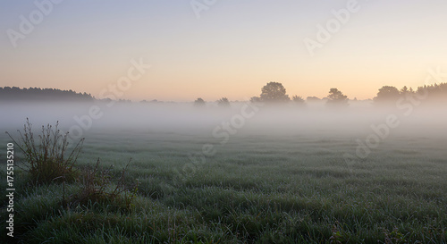 Foggy morning in the countryside with soft sunlight and dew on the grass, creating a calm and dreamy mood