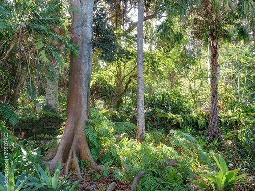 jardin Botanique de Puerto de la Cruz à Tenerife