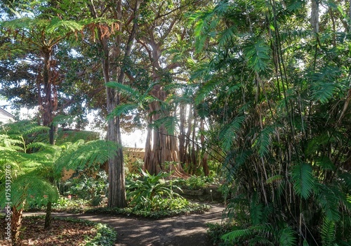 jardin Botanique de Puerto de la Cruz à Tenerife