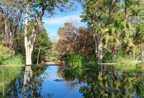 jardin Botanique de Puerto de la Cruz à Tenerife